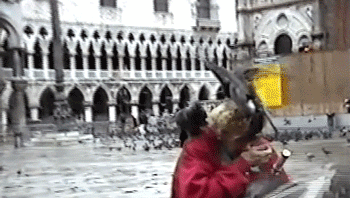 51014c011ff8d1b5d06713b65606eed7.gif